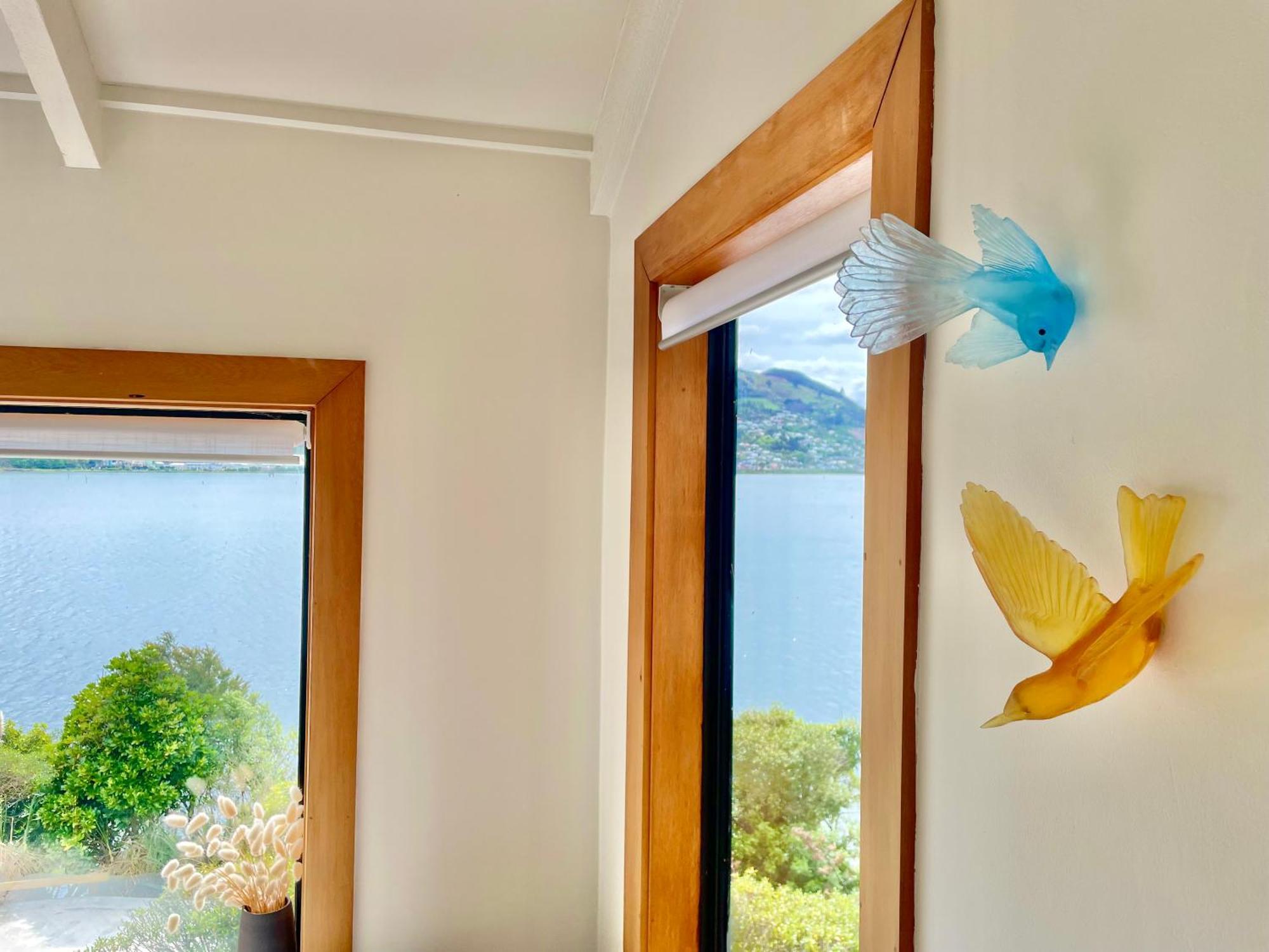The Cove Cabin - Your Quiet Escape Dunedin Ngoại thất bức ảnh