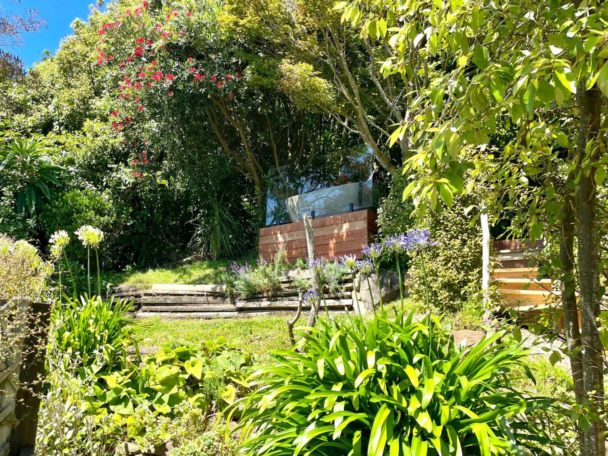 The Cove Cabin - Your Quiet Escape Dunedin Ngoại thất bức ảnh