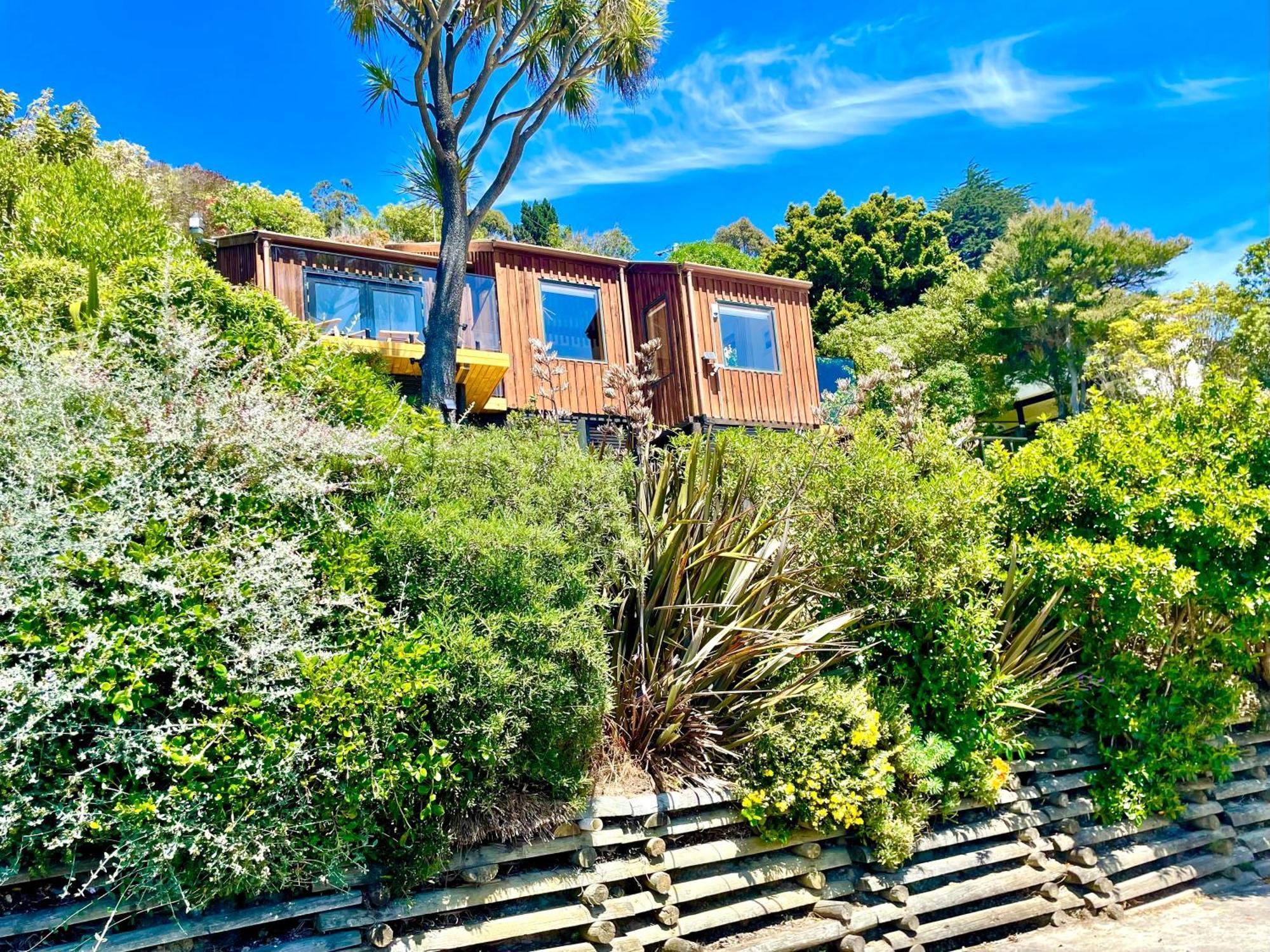 The Cove Cabin - Your Quiet Escape Dunedin Ngoại thất bức ảnh